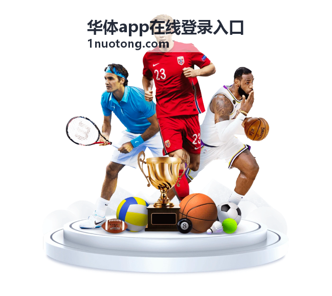 华体app在线登录入口短信验证码填写界面示意