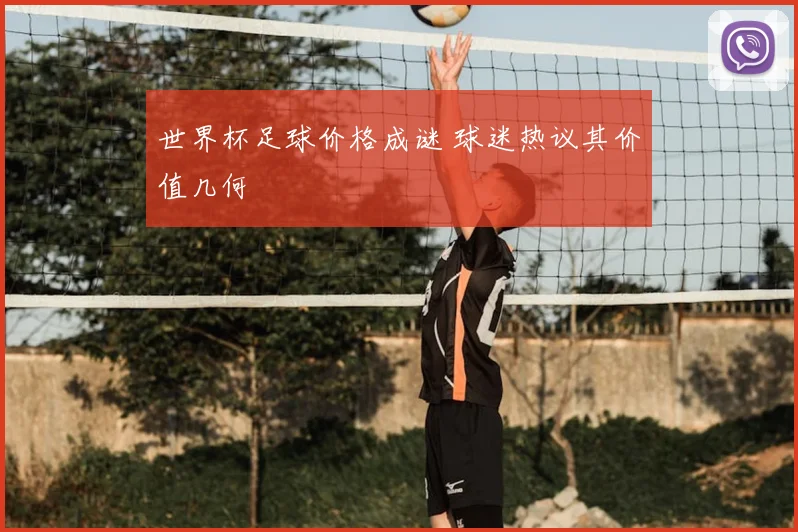 世界杯足球价格成谜 球迷热议其价值几何