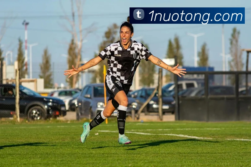 世界杯官方入口发展历程